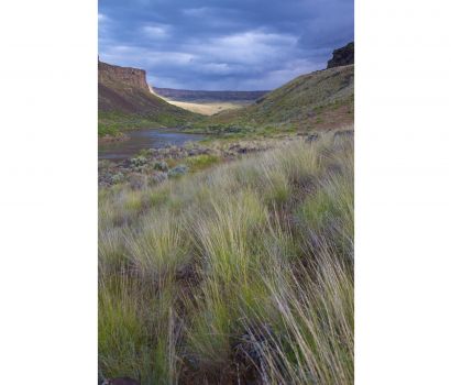 Jo_slideshow_landscape.jpg